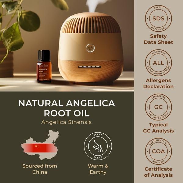 Gya Labs Angelica Root Essential Oil for Diffuser - 0.34 Fl Oz - 100% Pure Natural Angelica Oil for Skin, Hair, Massage & Candle Making Scent