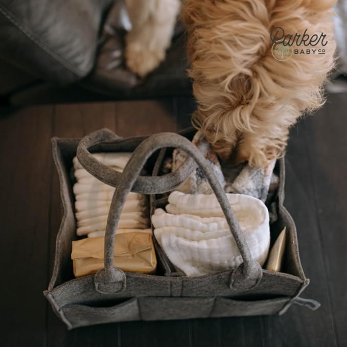 Parker Baby Diaper Caddy - Nursery Storage Bin and Car Organizer for Diapers and Baby Wipes - Charcoal, Regular