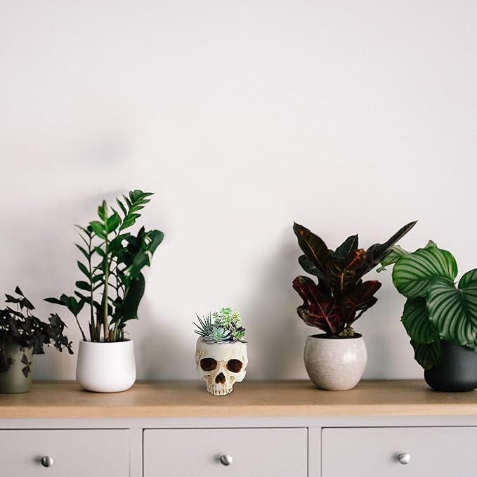READAEER Skull Planter with Drain Hole, Resin Skull Shaped Flower Pot Candy Bowl, Gothic Decoration for Home Office Desk- White