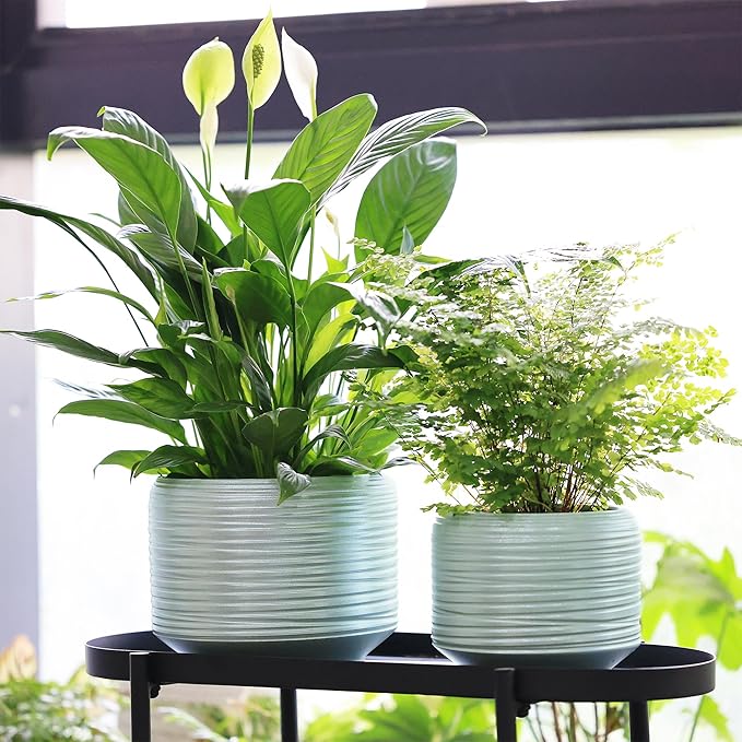 8 Inch + 6 Inch Ceramic Plant Pots Indoor with Drainage – Flower Pot Set, Decorative Indoor Planters for House Plants and Garden Use