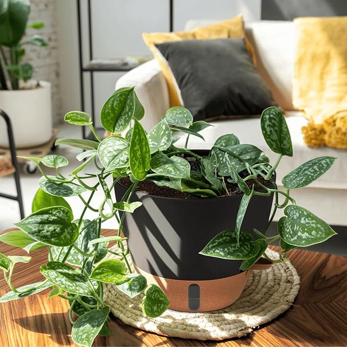 12/10/8 Inch Self Watering Pots for Indoor Plants Plastic Large Plant Pot for Outdoor Plants, Water Level Window & Spacious Reservoir Flower Pots Decorative Planter with Drainage and Tray (Black)