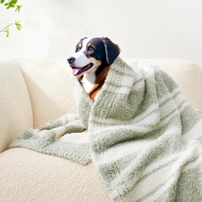 Snuggle Sac Stripe Sage Green Throw Blanket for Couch, Super Soft Warm Blankets Cozy Knit Fuzzy Plush Lightweight Throws for Sofa, Bed,Living Room, Stripe Green, 50x60 inches