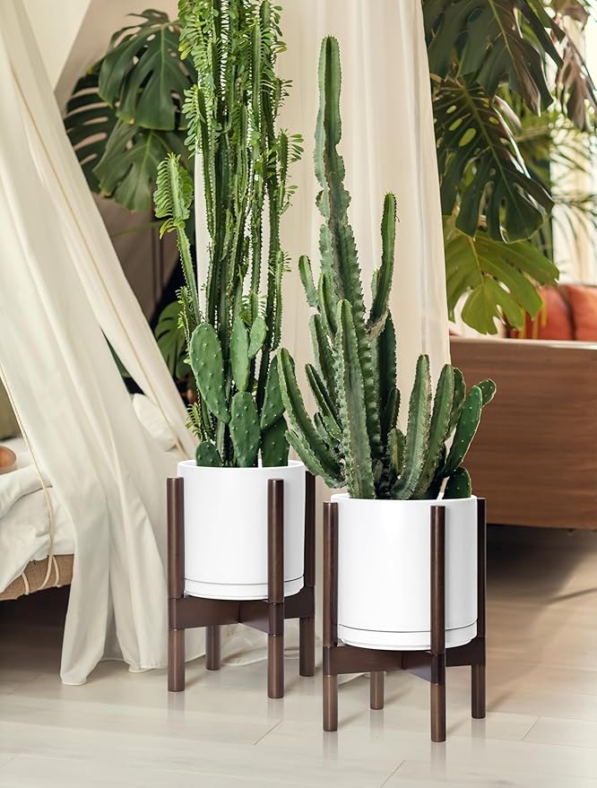 D'vine Dev Ceramic Planter with Walnut Color Stand - 10 Inch Modern Round Flower Pot with Wood Planter Holder, White, 55-B-X-1