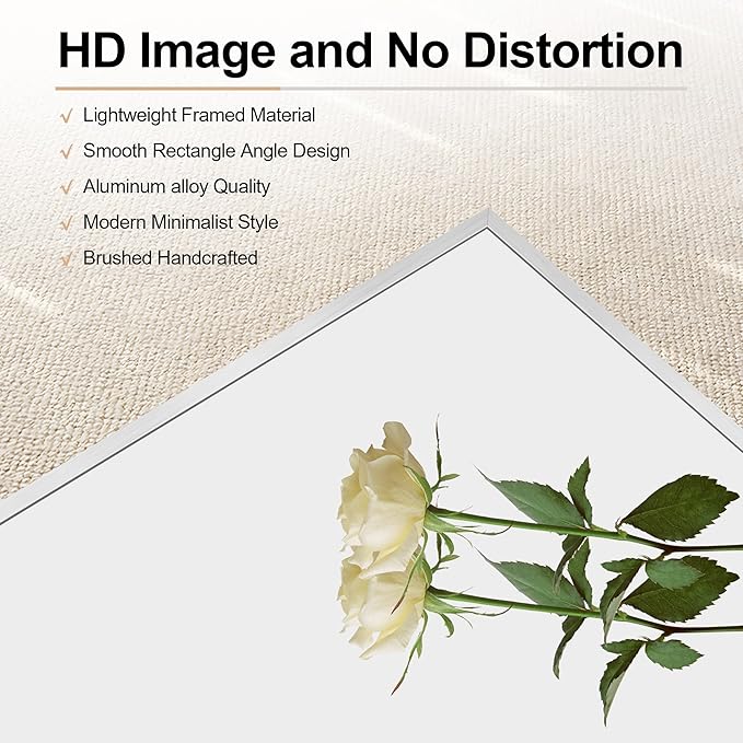 30x55In Silver Bathroom Mirror for Wall, Brushed Nickel Rectangle Mirrors with Metal Frame, Bathroom Rectangular Mirror Modern Wall Mirror for Bedroom Living Room, Hangs Horizontal or Vertical