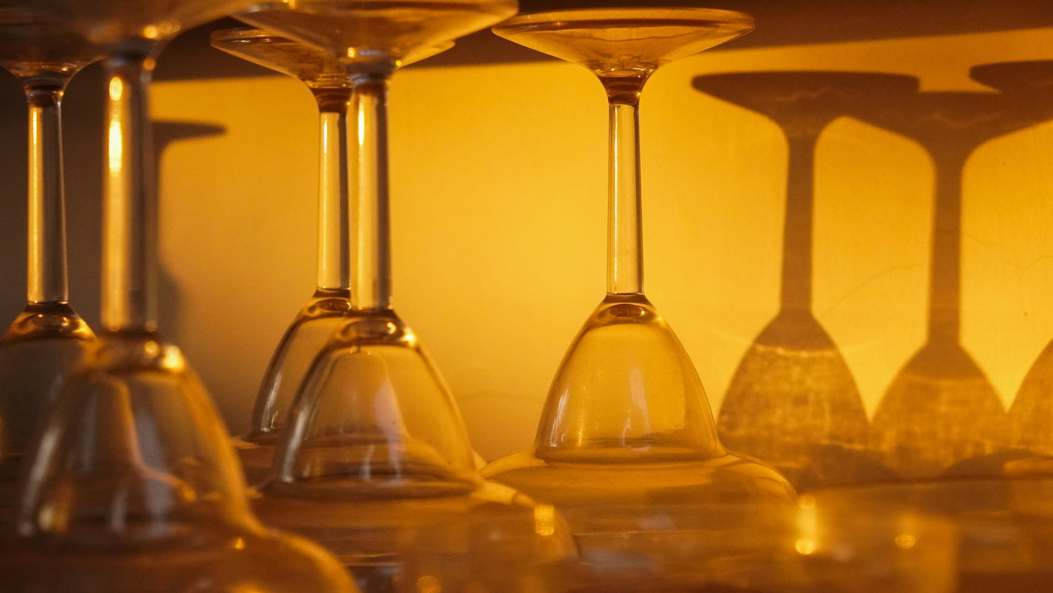 Wine Glasses & Barware