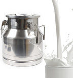 Stainless Steel Milk Can, 20 L/5.25 Gallon Heavy Duty Airtight Storage Canister Milk Bucket with Lid, Embedded Silicone Milk Jug Wine Pail Water Cereals Bucket with Three Latches and Two Handles