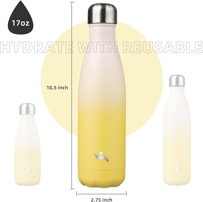 Insulated Water Bottles,17 oz Double Wall Stainless Steel Vacumm Metal Flask for Sports Travel,Lemon