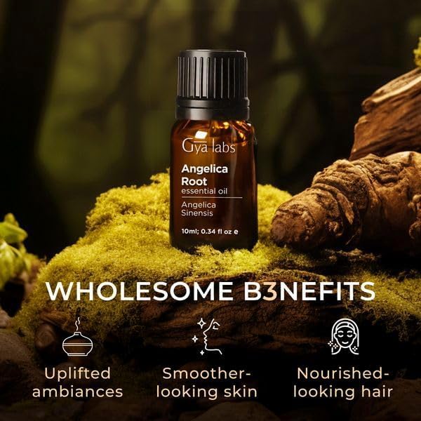 Gya Labs Angelica Root Essential Oil for Diffuser - 0.34 Fl Oz - 100% Pure Natural Angelica Oil for Skin, Hair, Massage & Candle Making Scent