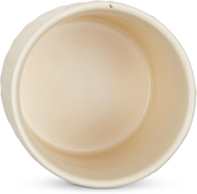 DII Kitchen Accessories Collection, Textured Matte Ceramic Canister Set, Antique White, Vine, 3 Piece