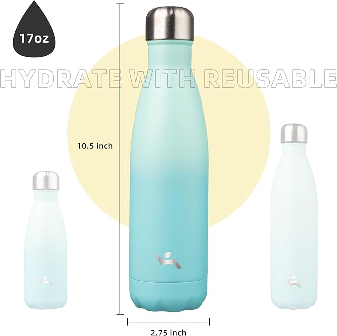 Insulated Water Bottles,17 oz Double Wall Stainless Steel Vacumm Metal Flask for Sports Travel,Mint