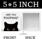 Funny Bathroom Decor Are You Pooping Cat Sign Funny Bathroom Toilet Table Decoration Funny Cat Gifts Bathroom Wall Decor Cat Gifts for Women Gifts for Cat Lovers, Funny Bathroom Wooden Box Sign Decor