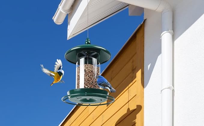 Pack of 2 Bird Feeder for Outdoor Hanging. Green