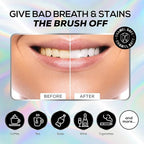 Venus Visage Activated Charcoal Toothpaste for Whitening, 3 Pack - Effective Teeth Whitening Toothpaste for Surface Stains - Peppermint Flavor (3.7 oz/105 g)
