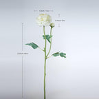Artificial Ranunculus Long Stem Buttercup Silk Flowers 6pcs for Home Decor and Wedding Decorations(White 1)
