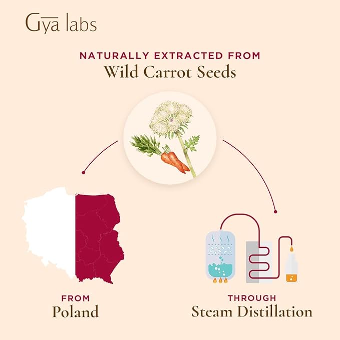 Gya Labs Carrot Seed Essential Oil - 0.34 Fl Oz - 100% Pure Natural Carrot Oil for Skincare, Hair, Scalp & Aromatherapy, Massages ,DIY ＆Candle Making Scent
