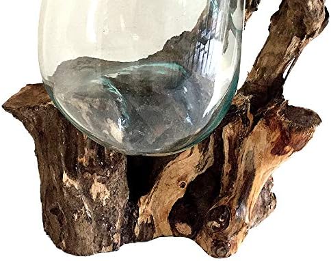 Hand Blown Molten Glass & Teak Wood Terrarium/Vase/Fish Bowl - Premium Quality (12" - 14" High)