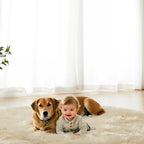 AMTOVO Faux Fur Sheepskin Rug for Living Room, 4 x 6 ft Beige Fluffy Area Rug for Bedroom, Playroom, Luxury Room Decor, Rectangle