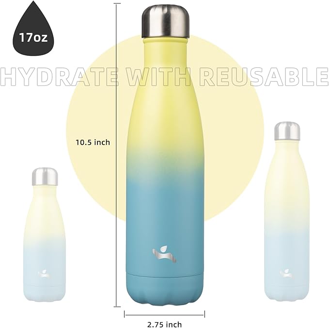 Insulated Water Bottles,17 oz Double Wall Stainless Steel Vacumm Metal Flask for Sports Travel,Sandy Beach