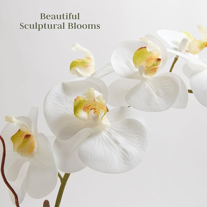 Faux White Orchid Plant, Premium Artificial Indoor Flower Display Stands 25-Inches with Beautiful Sculptural Blooms and Foliage That Lasts Forever, Grey Planter Pot Included