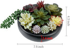 MyGift 8-Inch Artificial Succulent Plant Arrangement, Assorted Fake Plants in Modern Black Round Concrete Planter Bowl