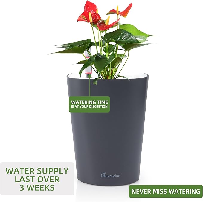 Dexceder 6x7 Self Watering Planter Indoor Outdoor, Matte Table Flower Plant Pot with Water Level Indicator (Slate Gray)