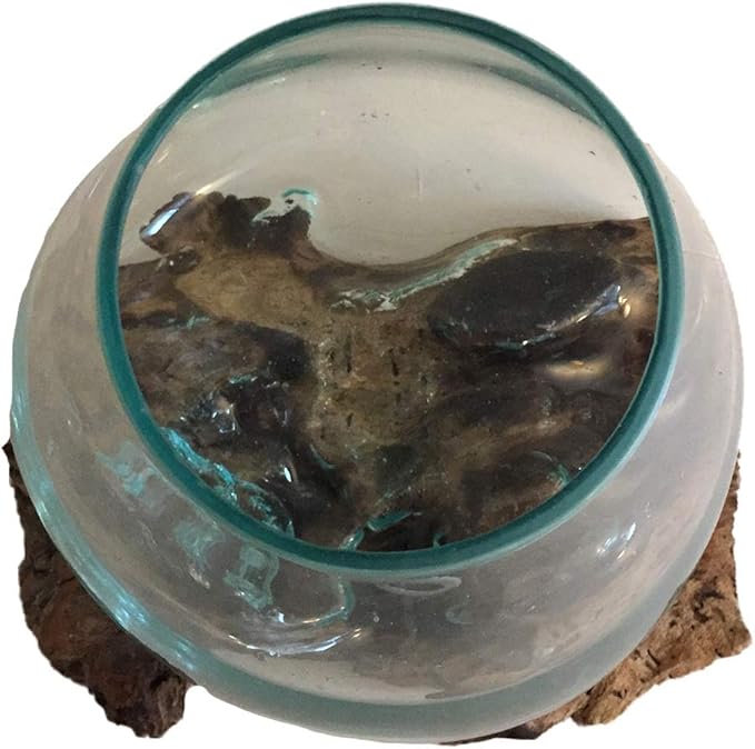 Hand Blown Molten Glass & Teak Wood Terrarium/Vase/Fish Bowl - Premium Quality (10" - 12" High)