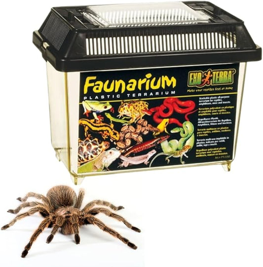 Exo Terra Faunarium, Plastic Reptile Terrarium, Small, PT2255