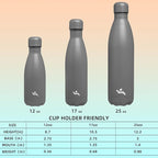 Insulated Water Bottles,17 oz Double Wall Stainless Steel Vacumm Metal Flask for Sports Travel,Gray