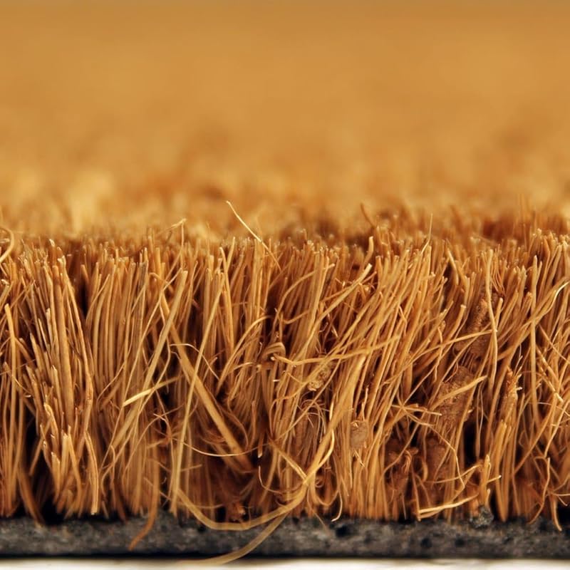 French Bulldog Coconut Coir Personalized Doormat, Frenchie Custom Welcome Mat, Housewarming Gift, Last Name Door Mat, Closing Gift, Dog Lover Entryway Rug 1172