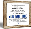 nspirational Wood Sign, Wooden Plaques Table Decor, Office Desk Sign, Farmhouse Home Decorate, Affirmation Signs Decorate Gift, Encouragement Gift, In Case No Nobody Told You Today Signs