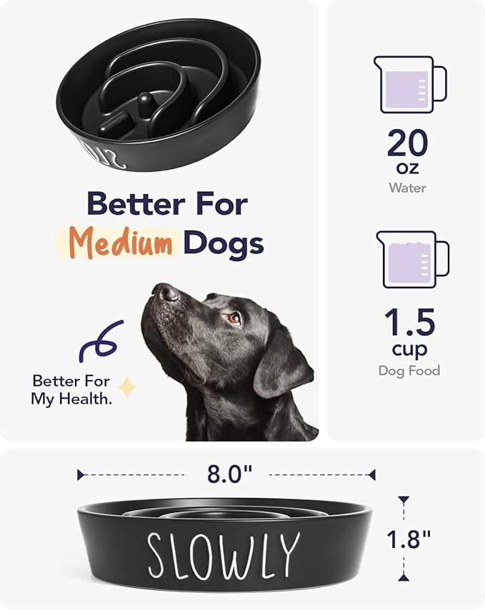 Slow Feeder Dog Bowl - 1.5 Cups Ceramic Puzzle Feeder for Small & Medium Breeds, Maze Design Pet Dish for Puppy & Fast Eaters, Black Non-Slip Bowl to Control Eating Speed