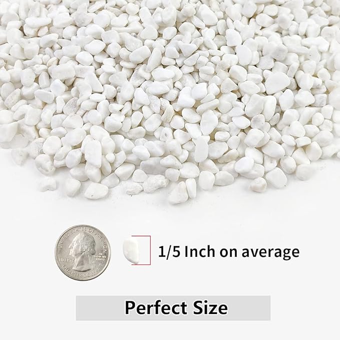 5LB Succulent and Cactus Gravel Pebbles, 1/5 Inch White Natural Decorative Polished Stones, River Rocks for Plants, Vases, Aquariums, Terrarium and Outdoor Gardening