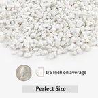 2LB Succulent and Cactus Gravel Pebbles, 1/5 Inch White Natural Decorative Polished Stones, River Rocks for Plants, Vases, Aquariums, Terrarium and Outdoor Gardening,White