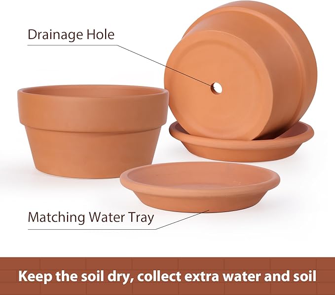 INGOFIN 8 Inch Terracotta Shallow Pots Set with Saucer - Ceramic Clay Pots with Drainage Hole, Terra Cotta Pot for Plants for Indoor Outdoor Plants, Set of 2