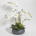 Faux Orchid Plant w/Succulents, Premium Artificial Indoor Flower Display Stands 24” w/Beautiful Sculptural Blooms and Succulents That Lasts Forever, Grey Planter Pot Included