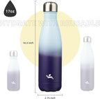 Insulated Water Bottles,17 oz Double Wall Stainless Steel Vacumm Metal Flask for Sports Travel,Ocean Dream
