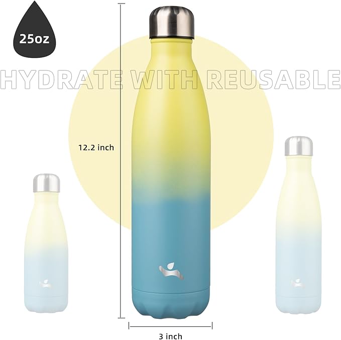 Insulated Water Bottles,25 oz Double Wall Stainless Steel Vacumm Metal Flask for Sports Travel,Sandy Beach