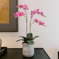 Faux Pink Orchid Plant, Premium Artificial Indoor Flower Display Stands 24”, Beautiful Sculptural Blooms That Lasts Forever, Grey Planter Pot Included