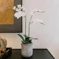 Faux White Orchid Plant, Premium Artificial Indoor Flower Display Stands 24”, Beautiful Sculptural Blooms That Lasts Forever, Grey Planter Pot Included