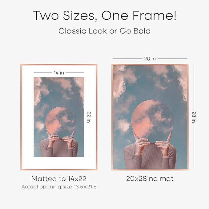 Homeforia 20x28 Frame Rose Gold, High End Metal 20x28 Poster Frames with Mat 14x22 inch Photo, 20 x 28 Rose Gold Picture Frame Matted to 14 by 22 Print, 28x20 Frame, Tempered Glass, Wall Kit, Set of 1