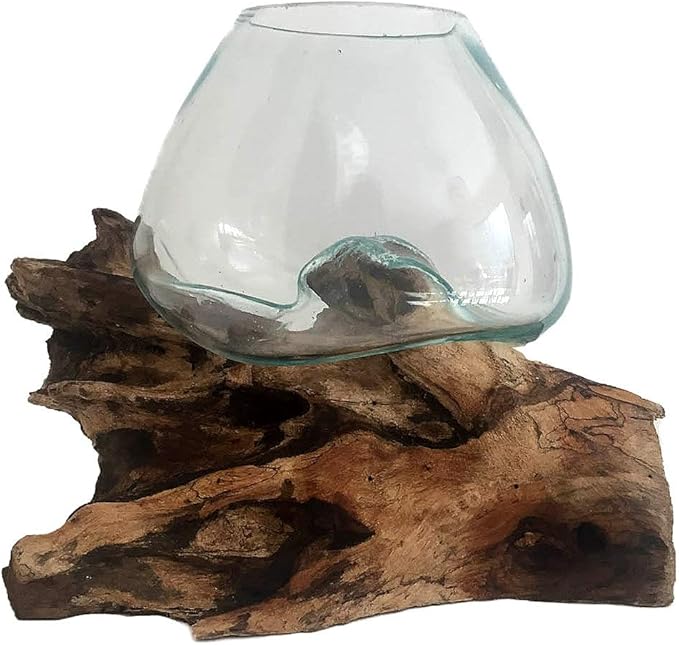 Hand Blown Molten Glass & Teak Wood Terrarium/Vase/Fish Bowl - Premium Quality (7" - 9" High)