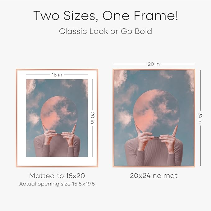 Homeforia 20x24 Frame Rose Gold, High End Metal 20x24 Poster Frames with Mat 16x20 inch Photo, 20 x 24 Rose Gold Picture Frame Matted to 16 by 20 Print, 24x20 Frame, Tempered Glass, Wall Kit, Set of 1