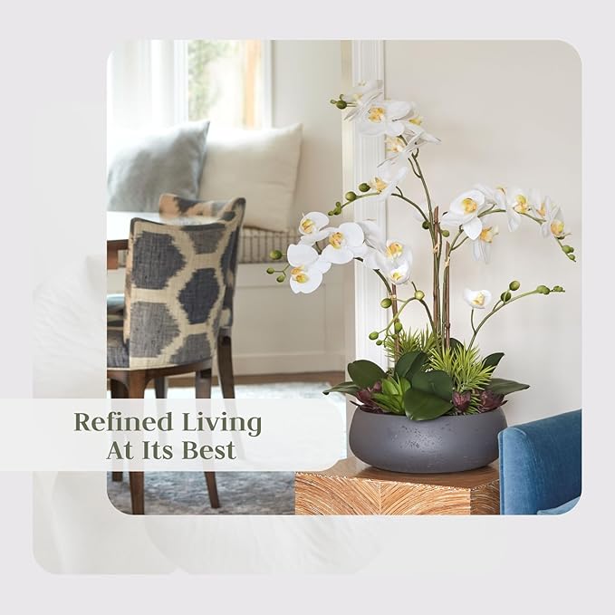 Faux Orchid Plant w/Succulents, Premium Artificial Indoor Flower Display Stands 24” w/Beautiful Sculptural Blooms and Succulents That Lasts Forever, Grey Planter Pot Included
