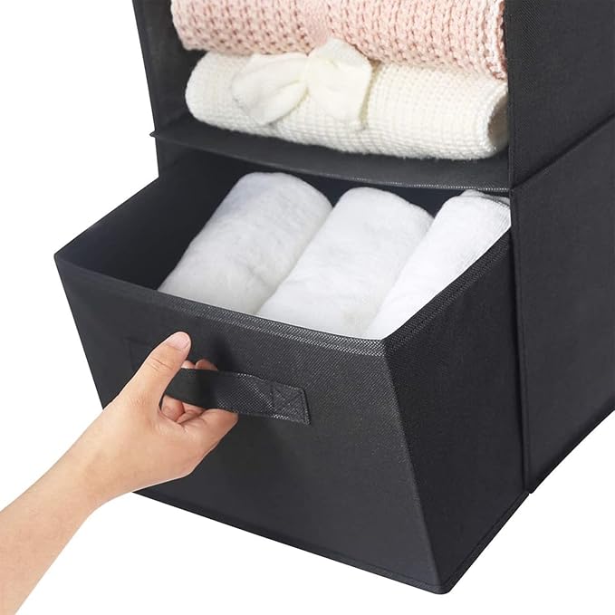 MAX Houser Hanging Shelf Closet Storage Organizer Removable Drawers ，Hanging Storage Organizer Hanging Sweater 2 Sock Underwear Drawers for Closet, Bedroom, Black