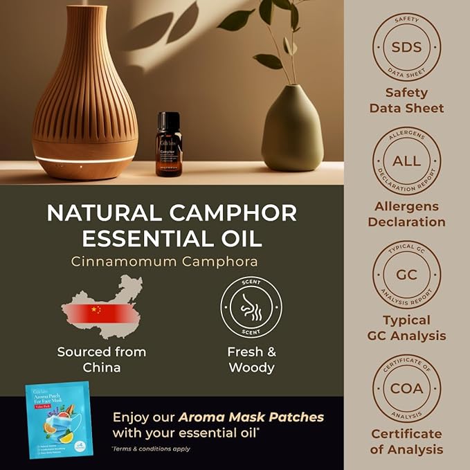 Gya Labs Camphor Oil - 0.34 Fl Oz - 100% Pure Natural Camphor Oil for Skin, Hair, DIY, Aromatherapy - Fresh Sharp & Slightly Woody & for Candle Making Scent