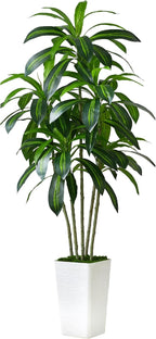 Artificial Dracaena Tree Artificial Silk Tree Faux Tree with White Tall Planter Fake Tropical Yucca Floor Plant (1, White Tall Planter, 5 FT)