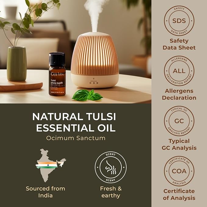 Gya Labs Holy Basil (Tulsi) Essential Oil - 0.34 Fl Oz - 100% Pure Natural Holy Basil Oil for Diffuser & Candle Making Scent