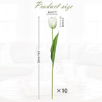 Artificial Tulips Flowers – 20" Long Stem Faux Tulips, 10PCS Real Touch Fake White Tulip for Vase, Farmhouse, Kitchen, Spring & Wedding Home Decor