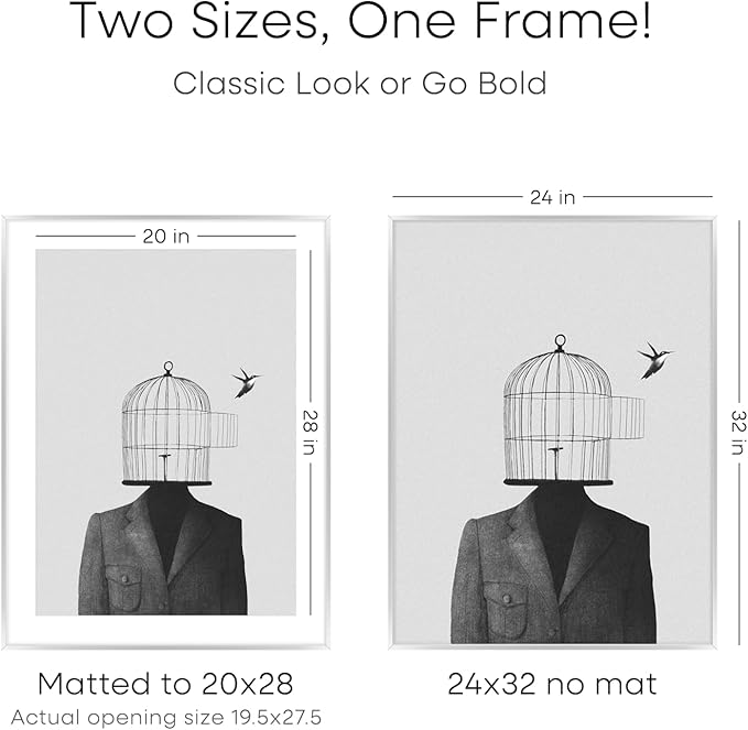 Homeforia Poster Frame 24x32 Silver, High End Metal 24 x 32 Large Picture Frame with Mat 20 x 28 Photo, 24x32 Silver Frames Matted to 20x28 Print, 32x24 Thin Frames, Tempered Glass, Wall Kit, Set of 1