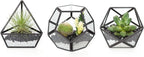 Mkono 4 Inches Mini Glass Geometric Terrarium Container Set of 3 Modern Tabletop Planter Shelves Decor Display Centerpiece for Succulent Miniature Fairy Garden Air Plant, Black(Plant Not Included)